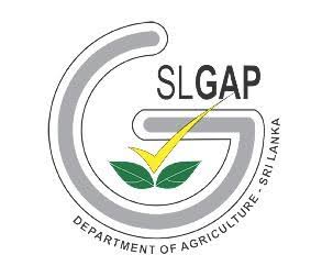 SL Gap